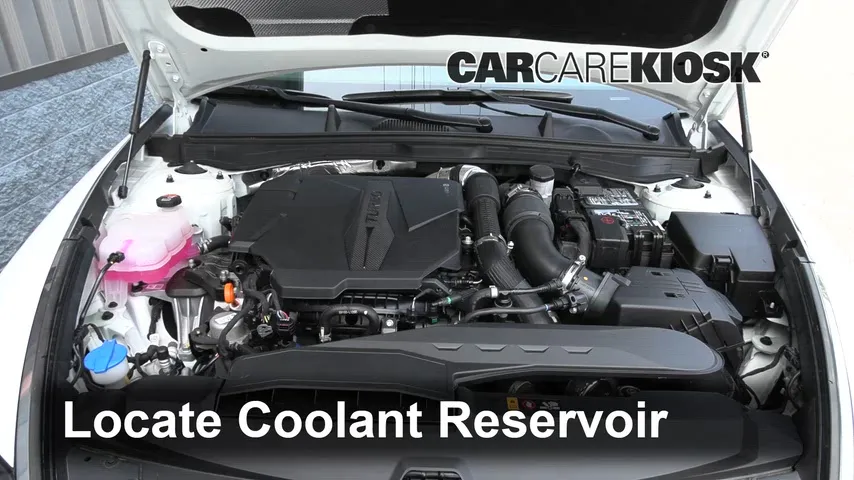 2021 Hyundai Sonata N Line 2.5L 4 Cyl. Turbo Antigel (Liquide de Refroidissement)